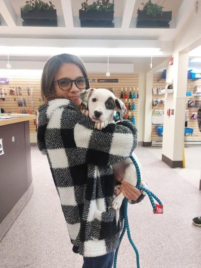 Person holding a puppy in a store